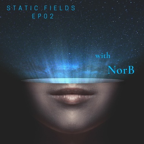  Norb - Static Fields 013 (2024-01-04) 