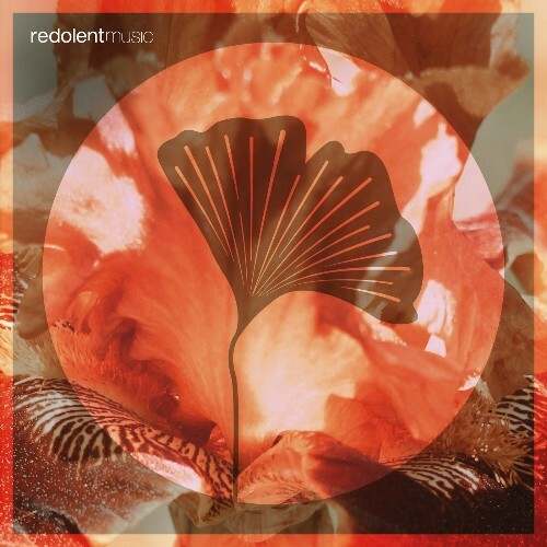  Anturage, Alexey Union, Alar - More Power (2025) 