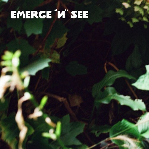  Shemar, Deleteeglitch, Defcee - emerge "n" see (2025) 