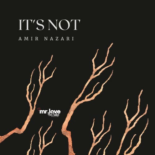  Amir Nazari - It's Not (2025) 