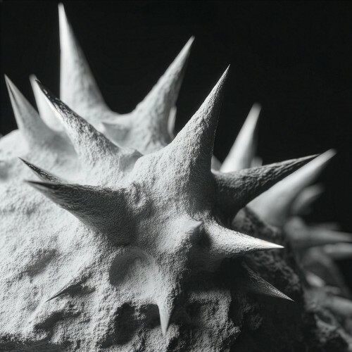 Deckert, CØME - Let Me Know (2026) Deckert, CØME - Let Me Know (2026)