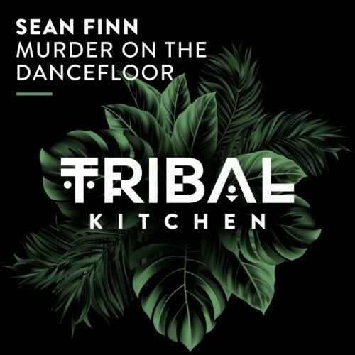  Sean Finn - Murder on the Dancefloor (2024) 