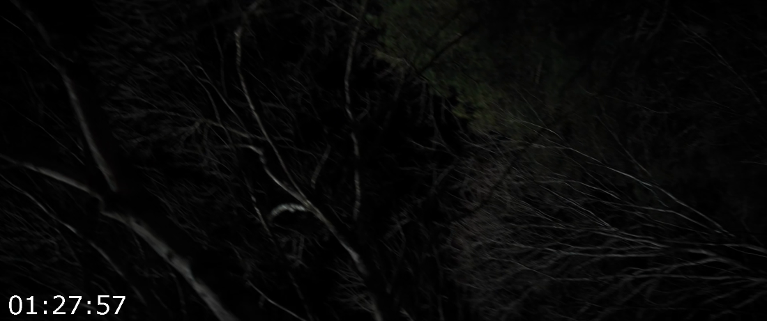 [Kép: ME1BFHHA_o.png]