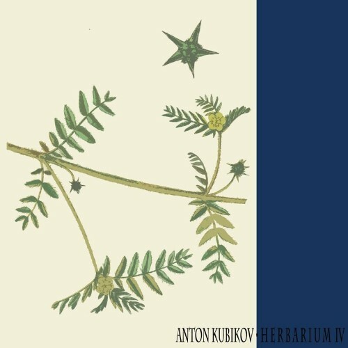  Anton Kubikov - Herbarium IV (2023) 