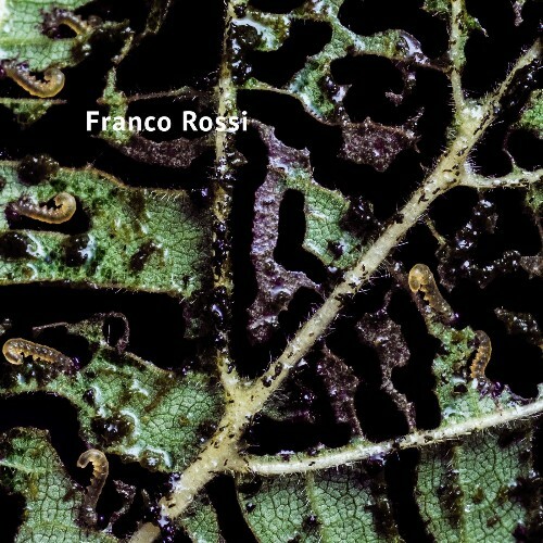 Franco Rossi — Vaalbara (2026)