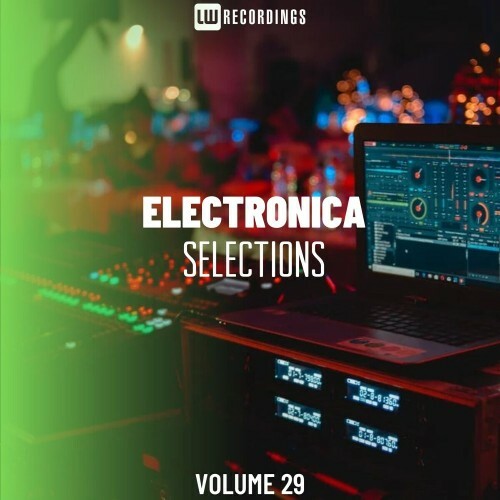  Electronica Selections, Vol. 29 (2025) 