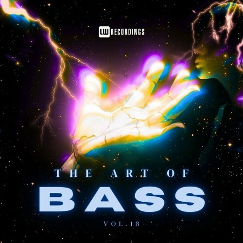  The Art of Bass, Vol. 13 (2024) 