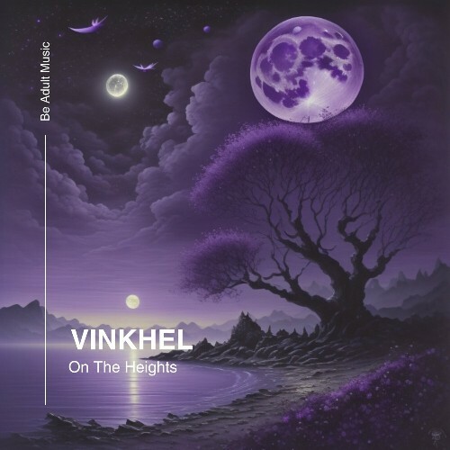 VA -  VINKHEL - On The Heights (2024) [MP3] METJLX0_o