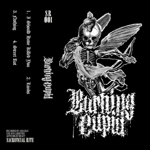  Burning Cupid - Demo (2026) 
