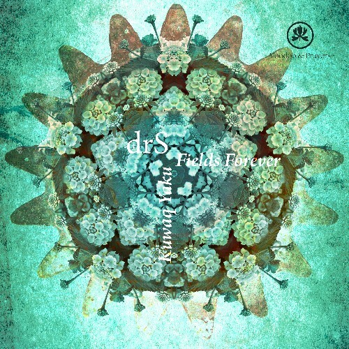  drS (FI) - Fields Forever / Kuwaq Yaku (2025) 