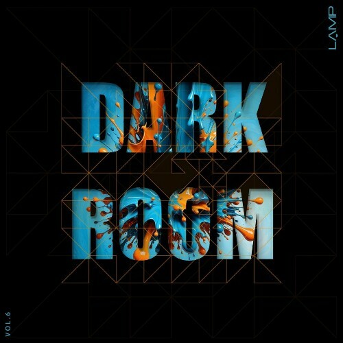  Dark Room, Vol. 6 (2024) 