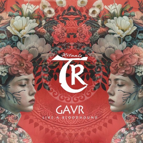 Gavr - Like a Bloodhound (2025) 