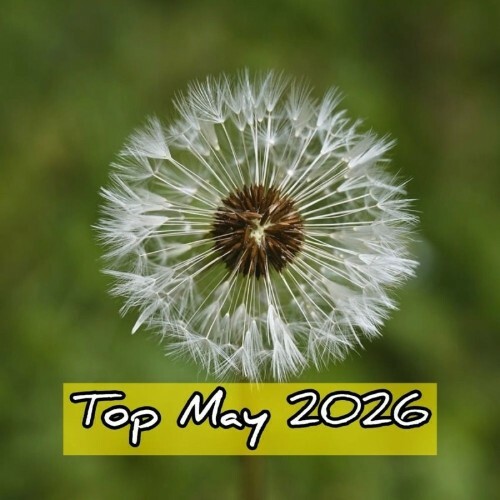  Top May 2026 (2026) 