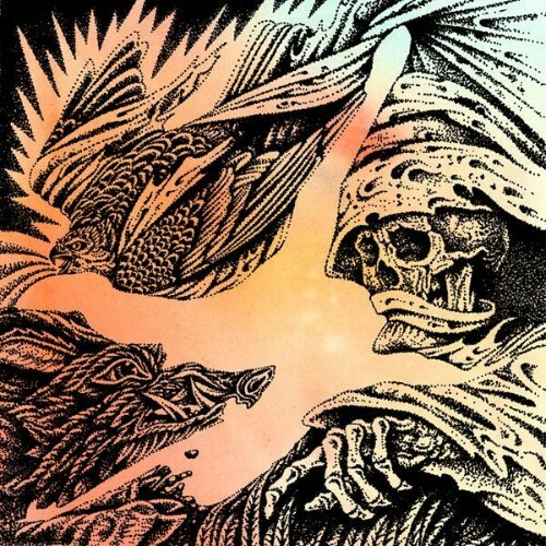 The Heavy Eyes - Focus (2026) The Heavy Eyes - Focus (2026)