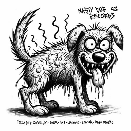 Nasty Dog Records V.A. 001 (2024) 