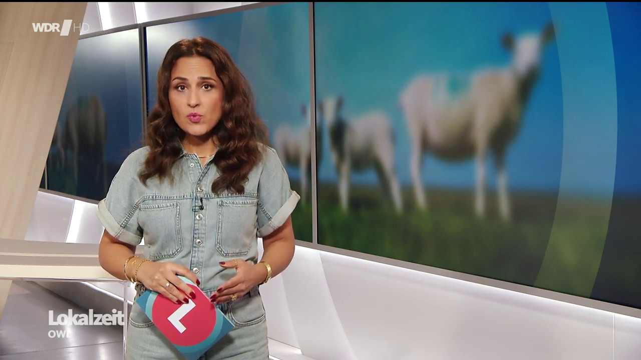 Nina Moghaddam - °WDR Lokalzeit OWL° 26.09.2024 - 127X Caps_22.png