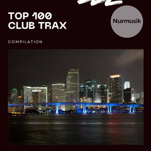 MP3:  Top 100 Club Trax (2024) Онлайн