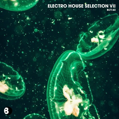  Electro House Selection VII (2024) 