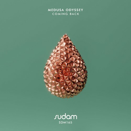  Medusa Odyssey - Coming Back (2024) 