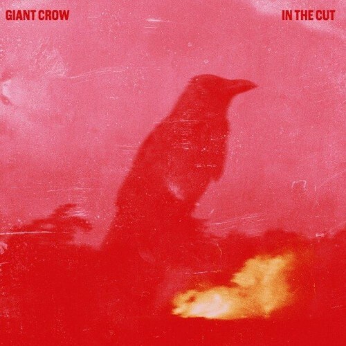  Giant Crow - In the Cut (2024) 