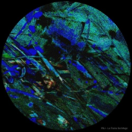  PBJ - La Fisica Del Mago (2025) 