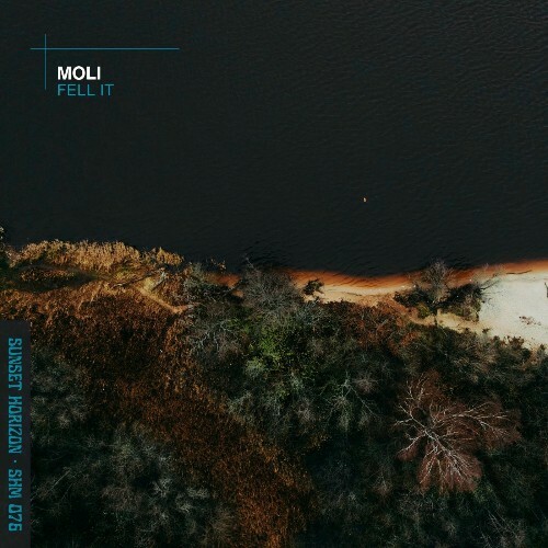  Moli - Feel It (2026) 