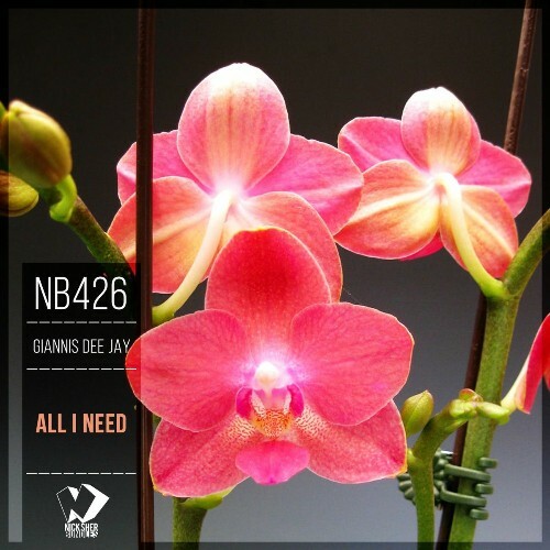  Giannis Dee Jay - All I Need (2025) 
