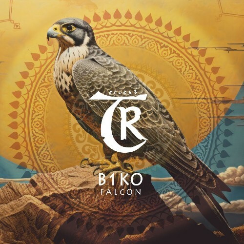  B1ko - Falcon (2025) 