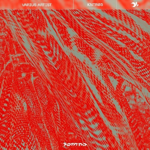  KNTR V/A KNTR005 (2026) 