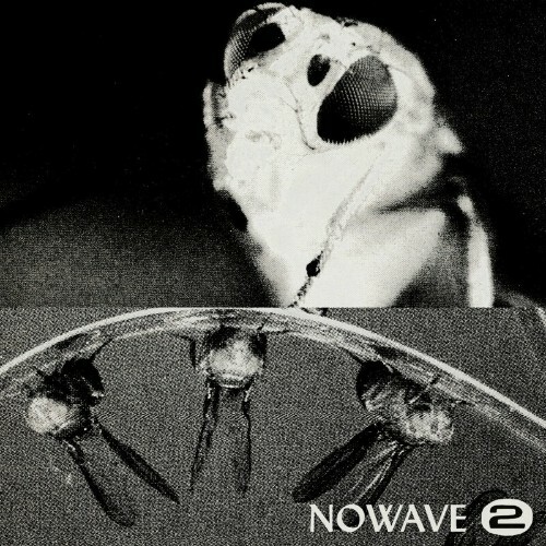  NOWAVE - MISSING YOU / NEVERMIND (2024) 