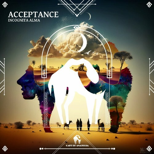 VA - Incognita Alma - Acceptance (2024) (MP3) METWE38_o