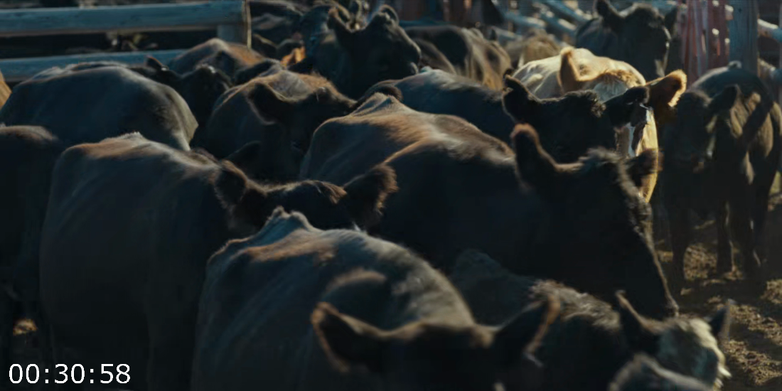 [Kép: ME1CJVQQ_o.png]