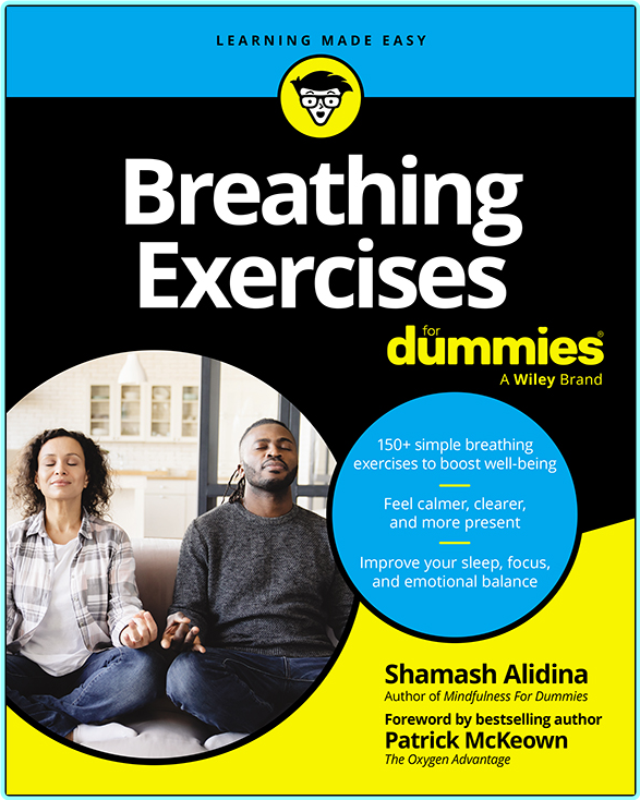 Breathing Exercises For Dummies (Shamash Alidina)