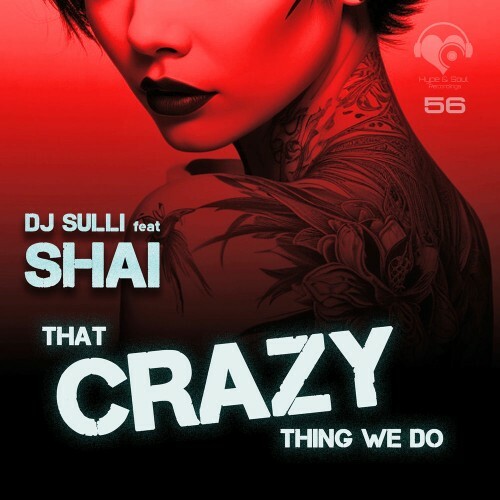  DJ Sulli feat. SH.AI - That cRaZy thing we do (2025) 