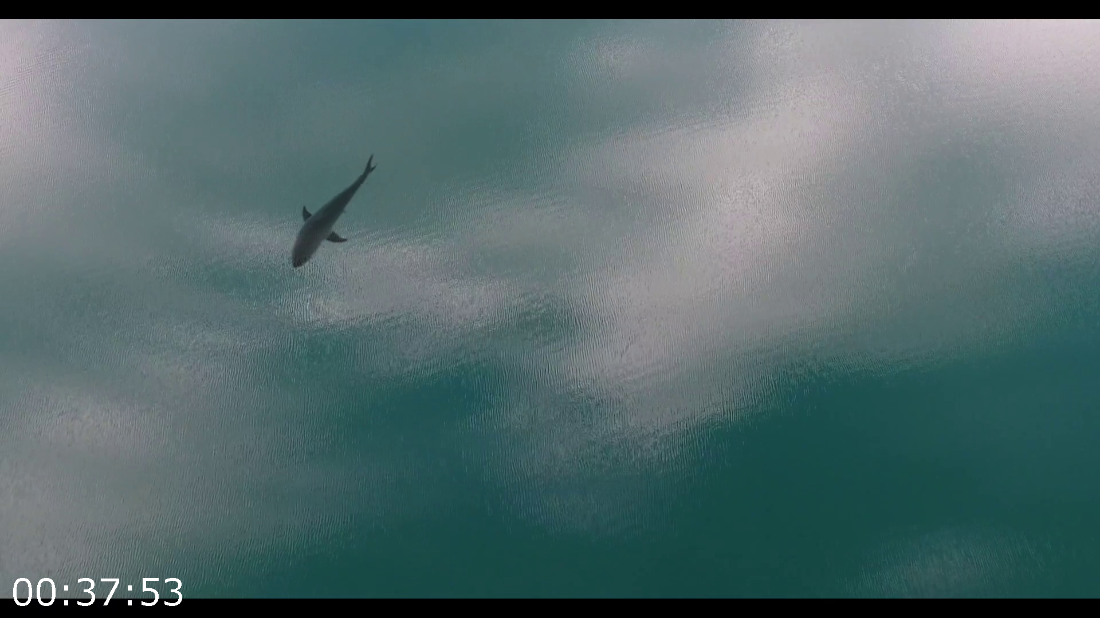 [Kép: ME1AZL9B_o.png]