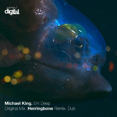  Michael King (AU) - Em Deep (2024) 