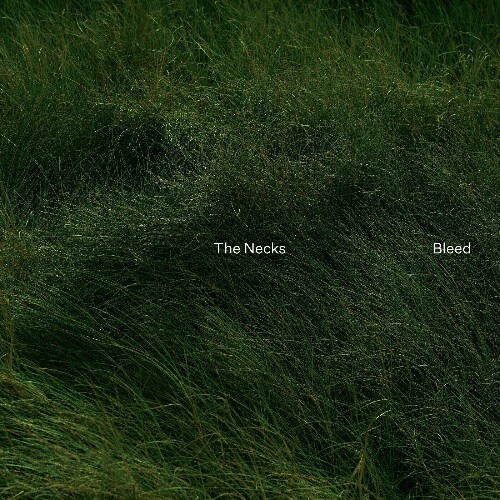 The Necks - Bleed (2024)