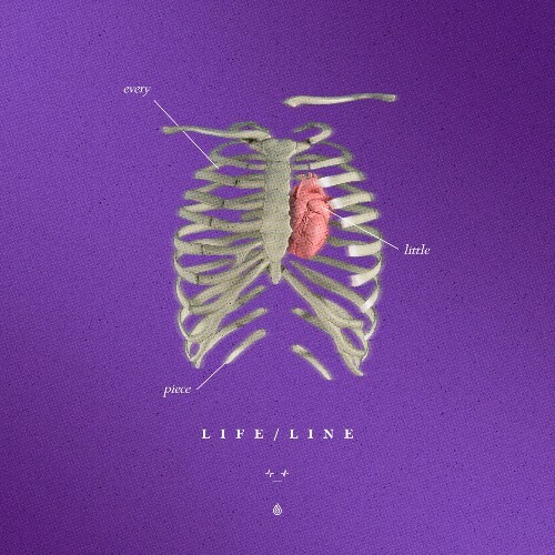  LIFE / LINE - Every Little Piece (2025) 