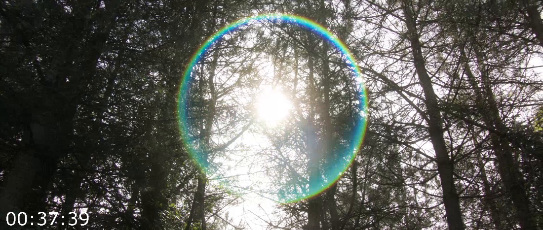 [Kép: ME19V5IC_o.png]