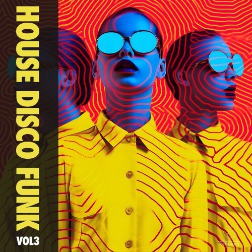  House Disco Funk Vol 3 (2024) 