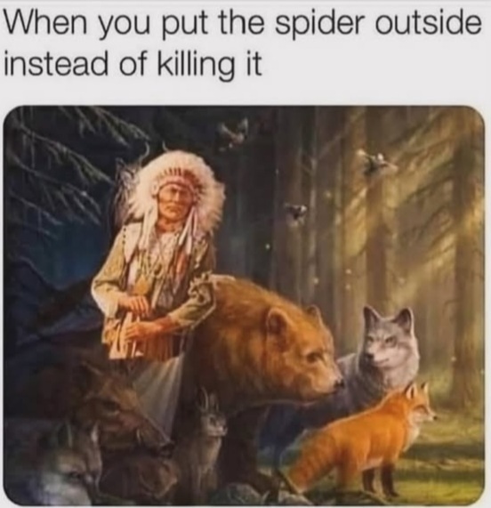 ME13272J_o.jpg