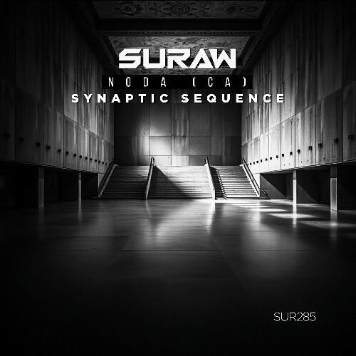  NODA (CA) - Synaptic Sequence (2026) 