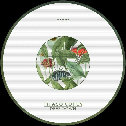  Thiago Cohen - Deep Down (2025) 
