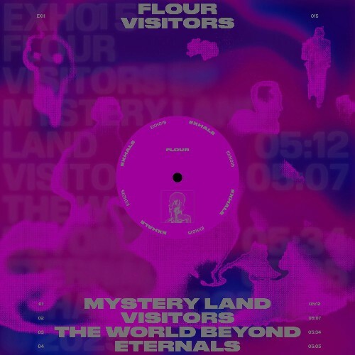  Flour - Visitors (2025) 