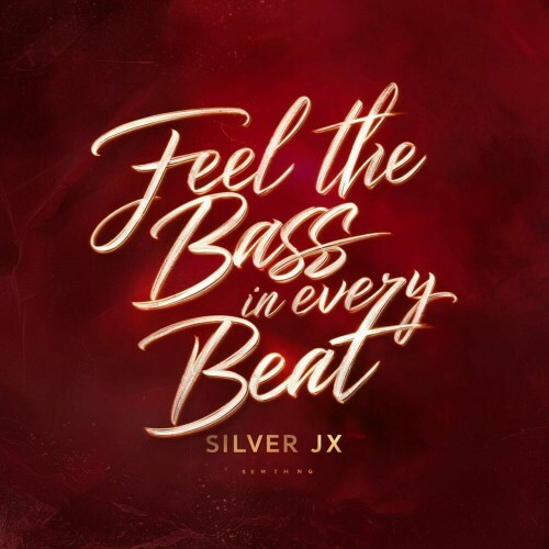  Silver Jx - Feel the bass in every beat (2024) 