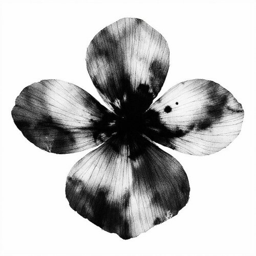  Edoquarto - Free Fall, Summer Tales (2026) 