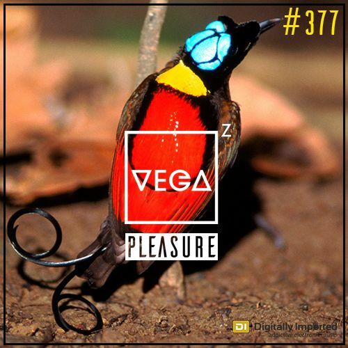  Vega Z - Pleasure 377 (2024-05-01) 
