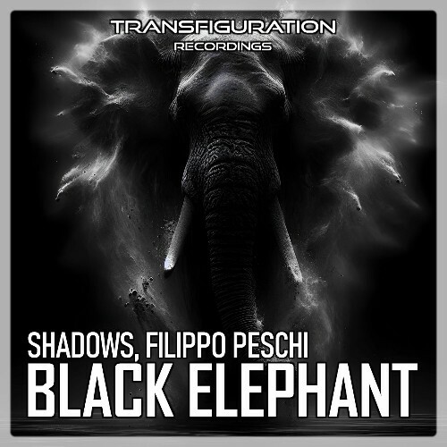  Shadows & Filippo Peschi - Black Elephant (2025) 