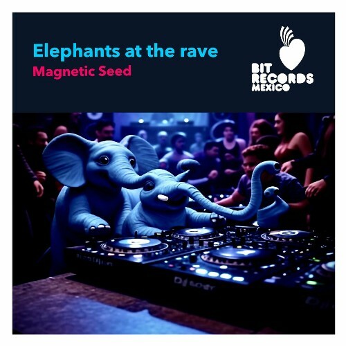  Magnetic Seed - Elephants At The Rave (2025) 