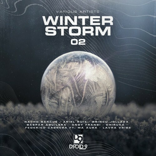  Winter Storm 02 (2024) 